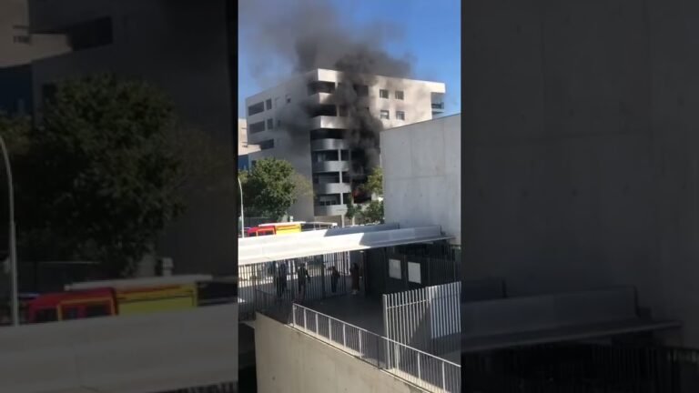 Marseille : un feu de ravage une terrasse en face du lycée  Diderot