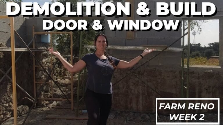 Reno Week 2 | Vision, Demolition, Door & Window Frame | My Central Portugal Farm #45