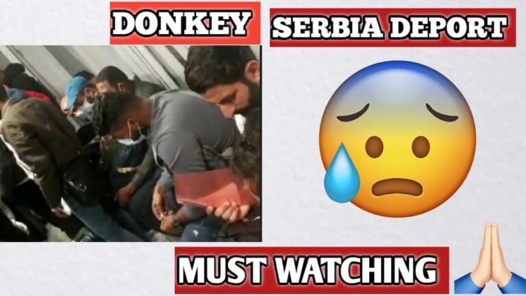 SERBIA SE DEPORT 😭 24/10/2022|| MUST WATCHING 🙏#donkey #austria #portugal #europe