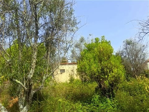 URBAN Farm with house – 1316m2 – Sobral do Campo – Centro – Portugal. Price: 29.900€