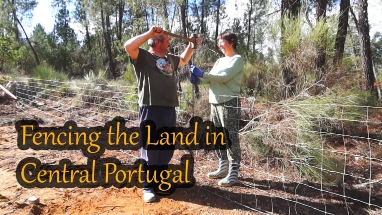 14. Fencing THE Land on our Small Farm in Central Portugal | Off Grid Living