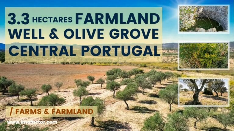 🌾 3.3 Hectares Farmland for Sale in Central Portugal | €45000