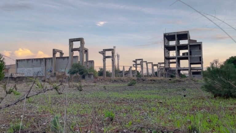 Barreiro wasteland in November