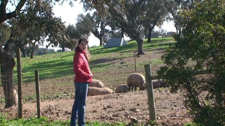 Farm in Alentejo (Traveline Portugal)