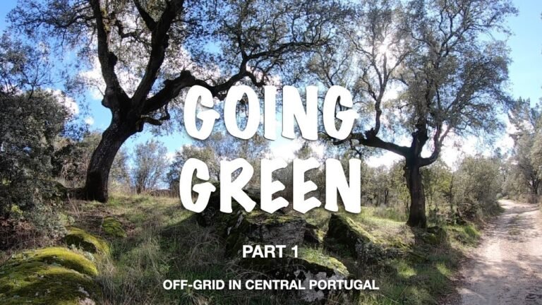 Living OFF-GRID in CENTRAL PORTUGAL / GOING GREEN (Part 1)