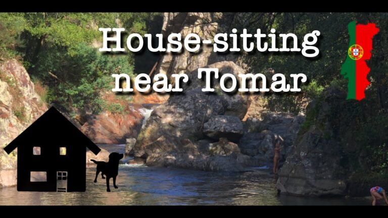 Next House-sit near Tomar Next House-sit near Tomar