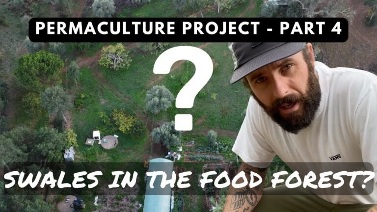 PERMACULTURE PROJECT – PART 4. SWALES IN THE FOOD FOREST?