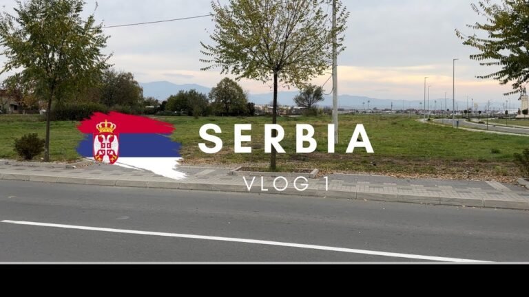 Serbia VLOG 1 – (Walk w/me, Burek, Winter, Dinner)