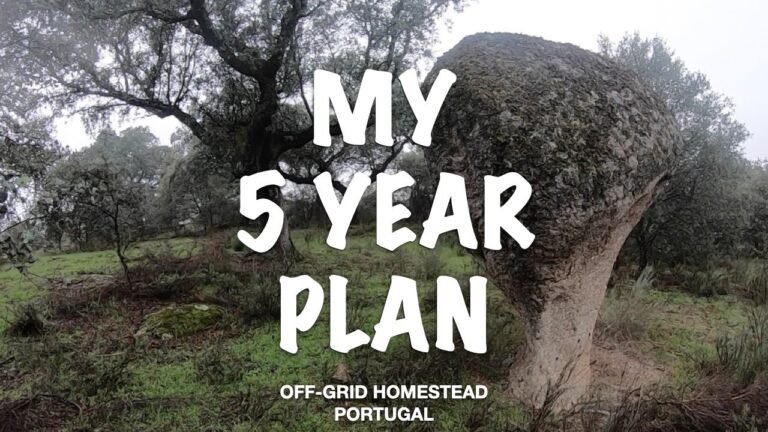 Solo Off-grid Living / 5 YEAR PLAN