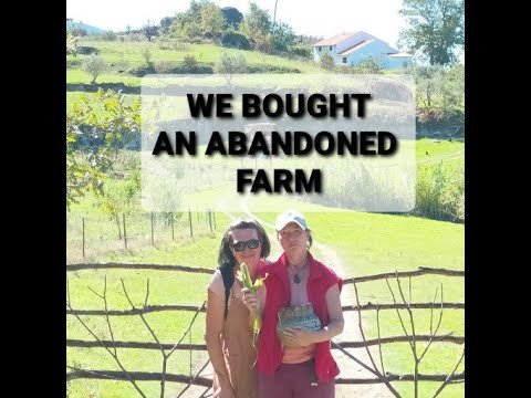 We bought an abandoned farm