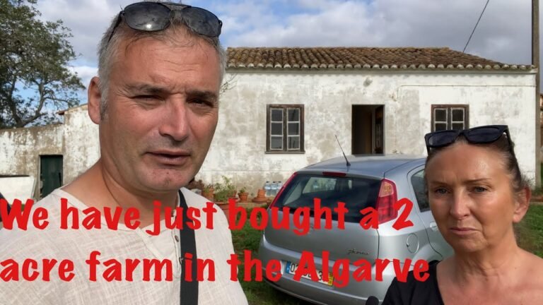 We have bought a 2 acre farm in The Algarve