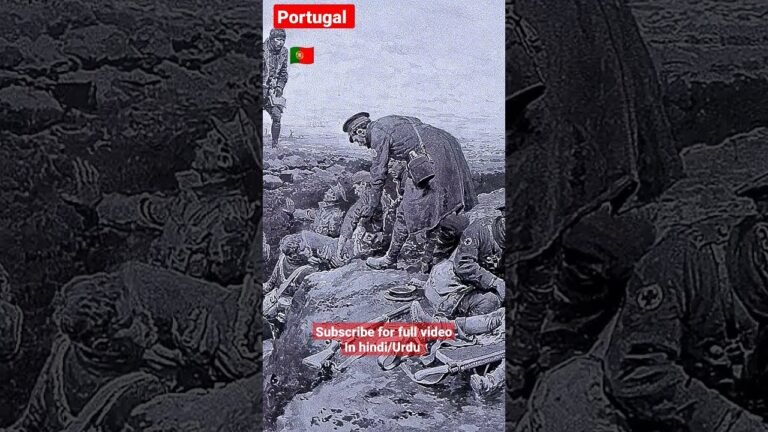 #porto #Portugal #travel #vlog #pakistan #visa #beauty #peaceful #europe #ronaldo #imrankhan