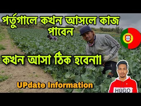 পর্তুগালে🇵🇹এখন আসা ঠিক হবে? কাজ পাবো?| Portugal Work Update 2022| Travel The World