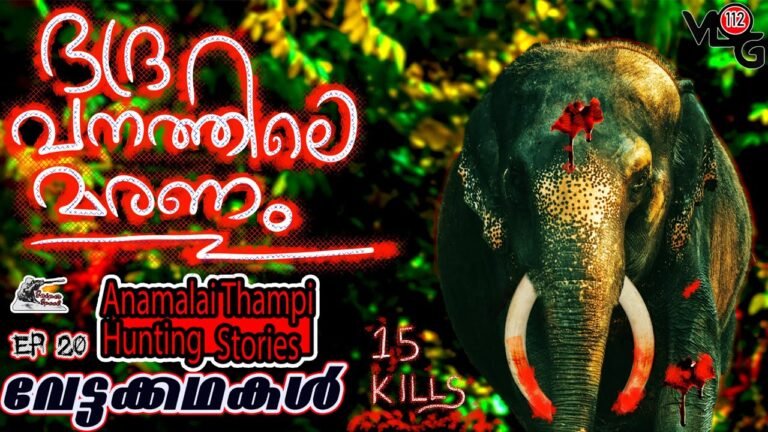 ഭദ്ര വനത്തിലെ ഒറ്റയാൻ | The Rogue Elephant  | Anamalai Thampi | വേട്ടക്കഥകള്‍ |  Sniper Spool