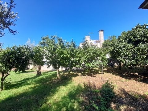 4 Bedroom Villa + 2 storey annexe + 290m2 yard. Sobral do Campo – Centro – Portugal. Price: 37.000€