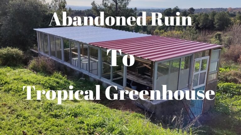 Abandoned Pig House to Greenhouse   117