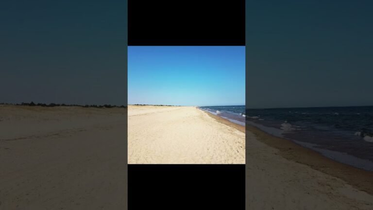 Beaches of Portugal #shorts #beach #beachlife #beachesportugal