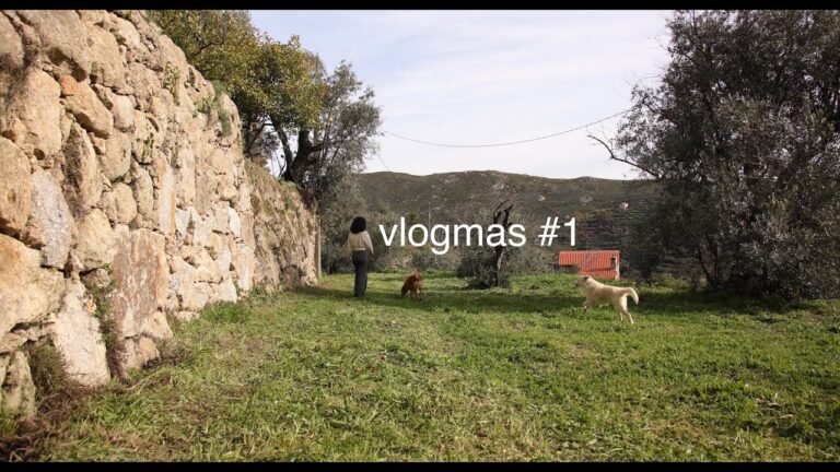 Off-Grid Life Central Portugal (#Vlogmas1) | Clearing, Plans and Intensions for the 24 days ahead 🍀🎄