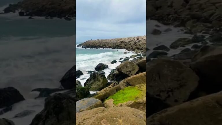 Portugal beach 🇵🇹 Ocean Atlantic #turismo #2022 #portugal #youtubeshorts  #livestream #shortsvideo