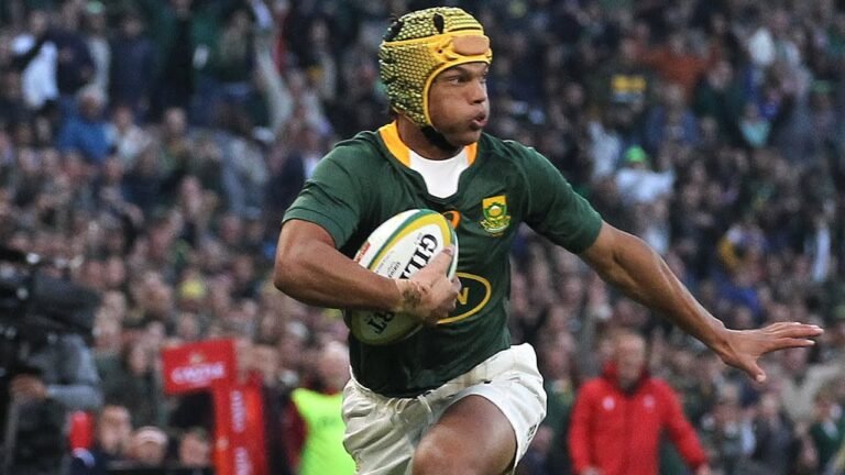 Springbok Season Highlights 2022 – All The Tries!