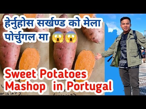 Sweet Potatoes Mela In Portugal | Nepali Vlog In Portugal | Pasang Lama In Portugal | Portugal Nepal