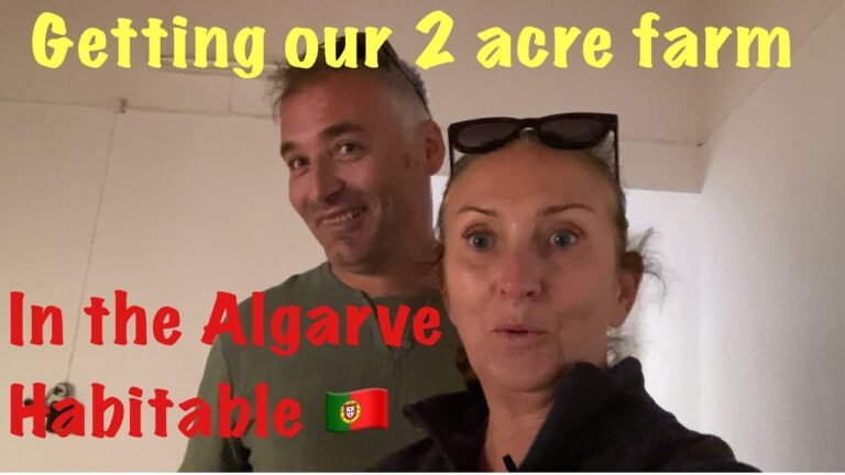 Update on our 2 acre farm here in the Algarve Portugal 🇵🇹