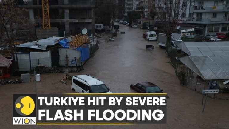 WION Climate Tracker: At least 500 cars, 100 houses damaged due to flash floods in Turkiye | WION