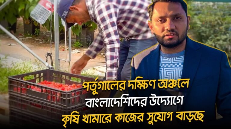 পর্তুগালের দক্ষিণ অঞ্চলে কৃষিতে উদ্যোগ ও বিনিয়োগের সুযোগ রয়েছে || Agricultural Work in Portugal