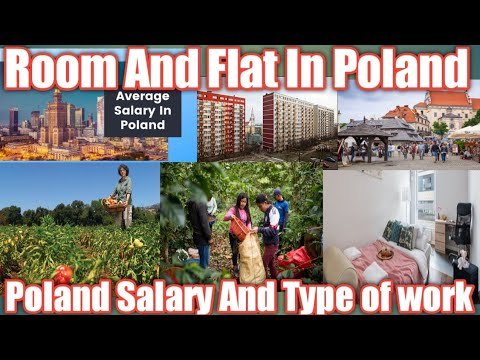 How much is a room rent and flat in Poland | How much salary's given in which field in Poland#PLN